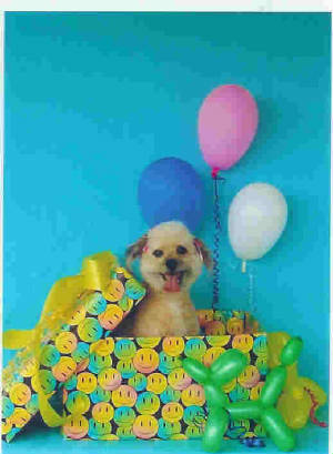 HappyBirthdog.jpg